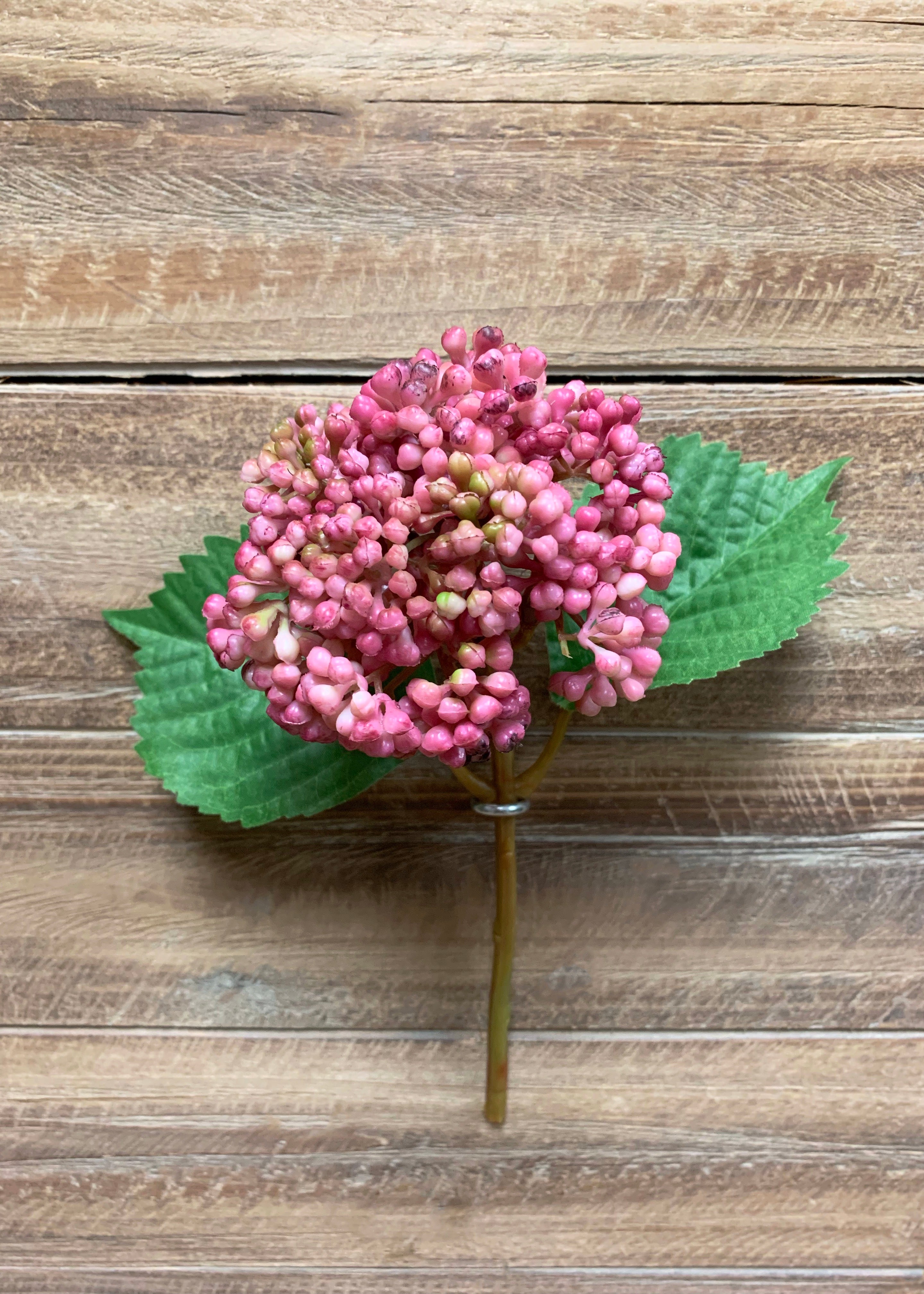 ITEM 10169 ROSE - 10" ROSE SEEDED HYDRANGEA STEM