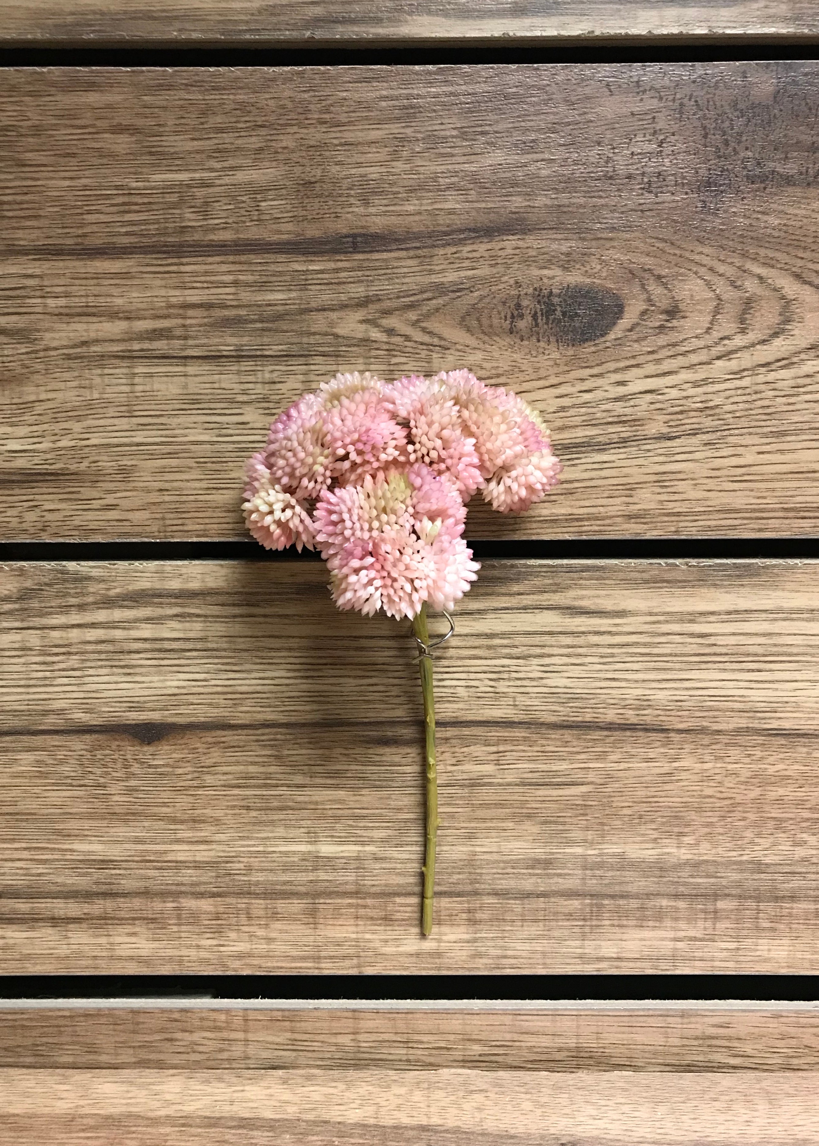 ITEM 11252 BLUSH - 9" BLUSH FRESH TOUCH SEDUM PICK