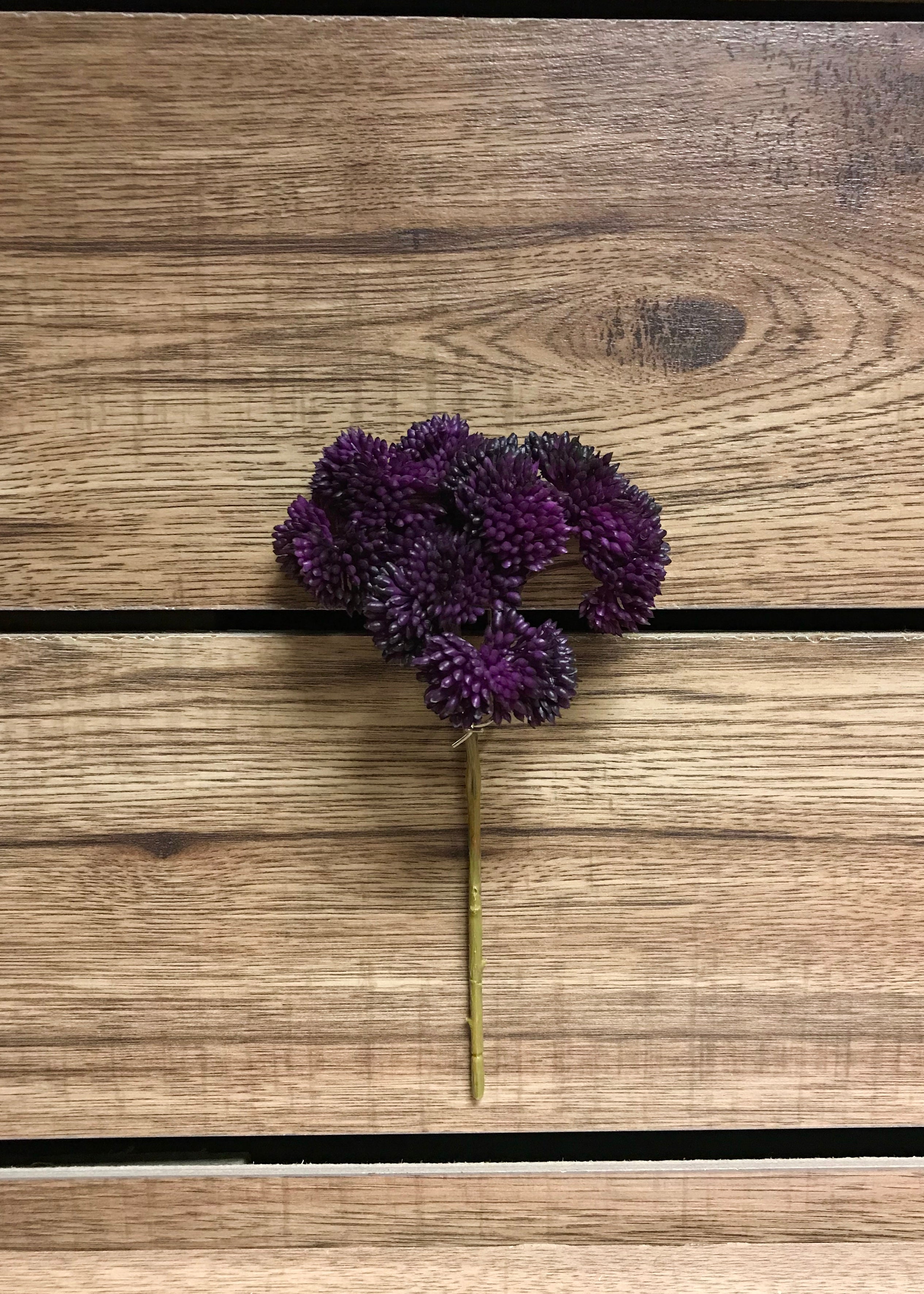 ITEM 11252 PUR - 9" PURPLE FRESH TOUCH SEDUM PICK