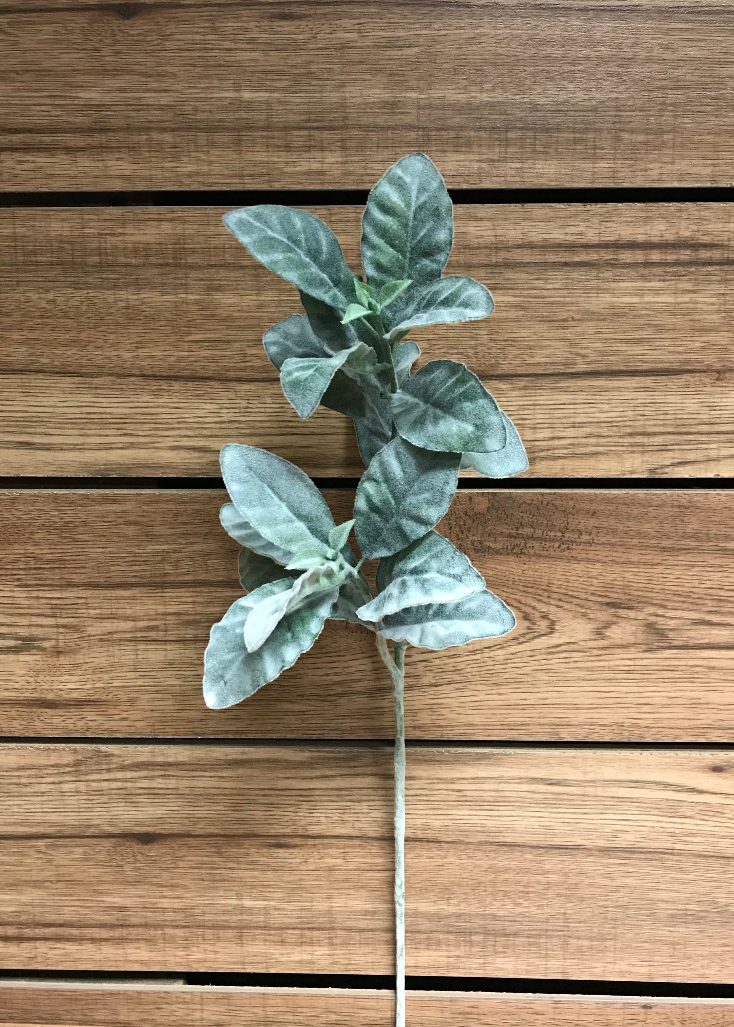 ITEM 11278 - 29" JADE IMPRESSION LAMBS EAR SPRAY