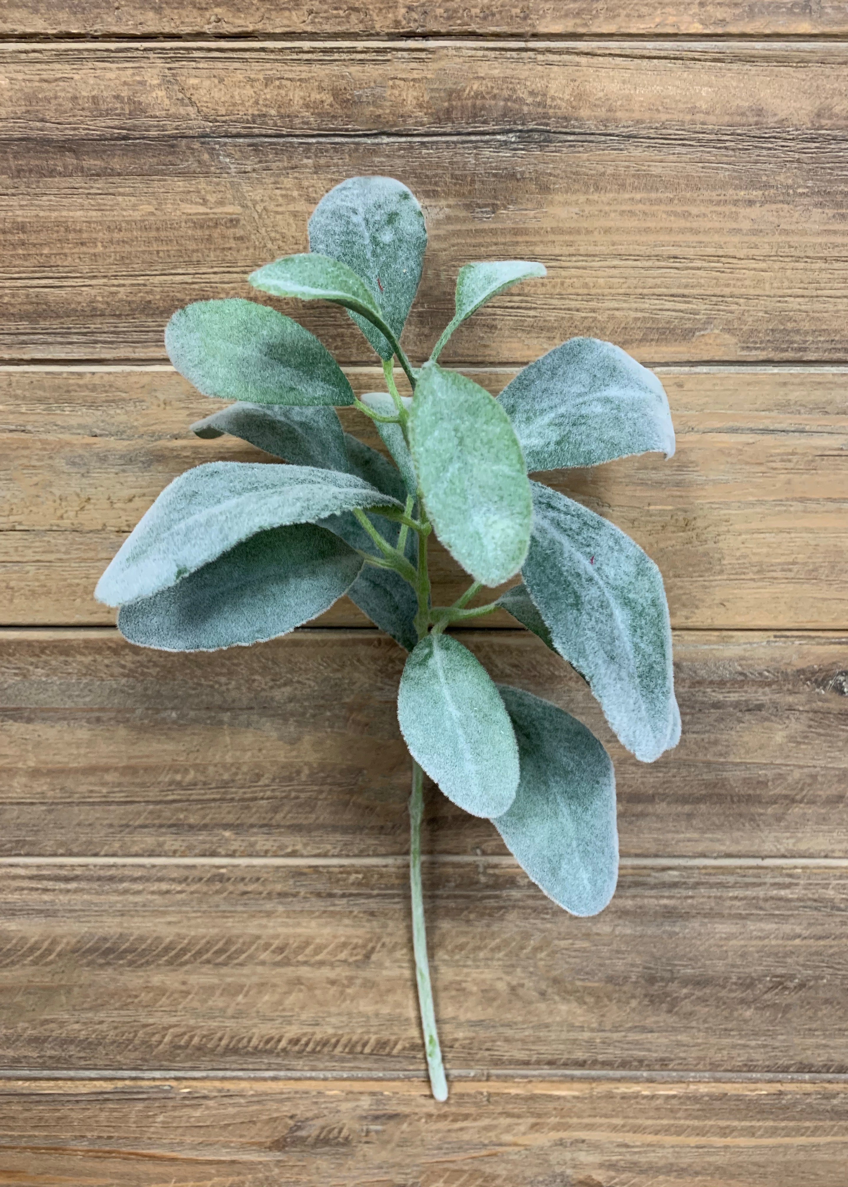 ITEM 11309 - 15" LAMBS EAR STEM