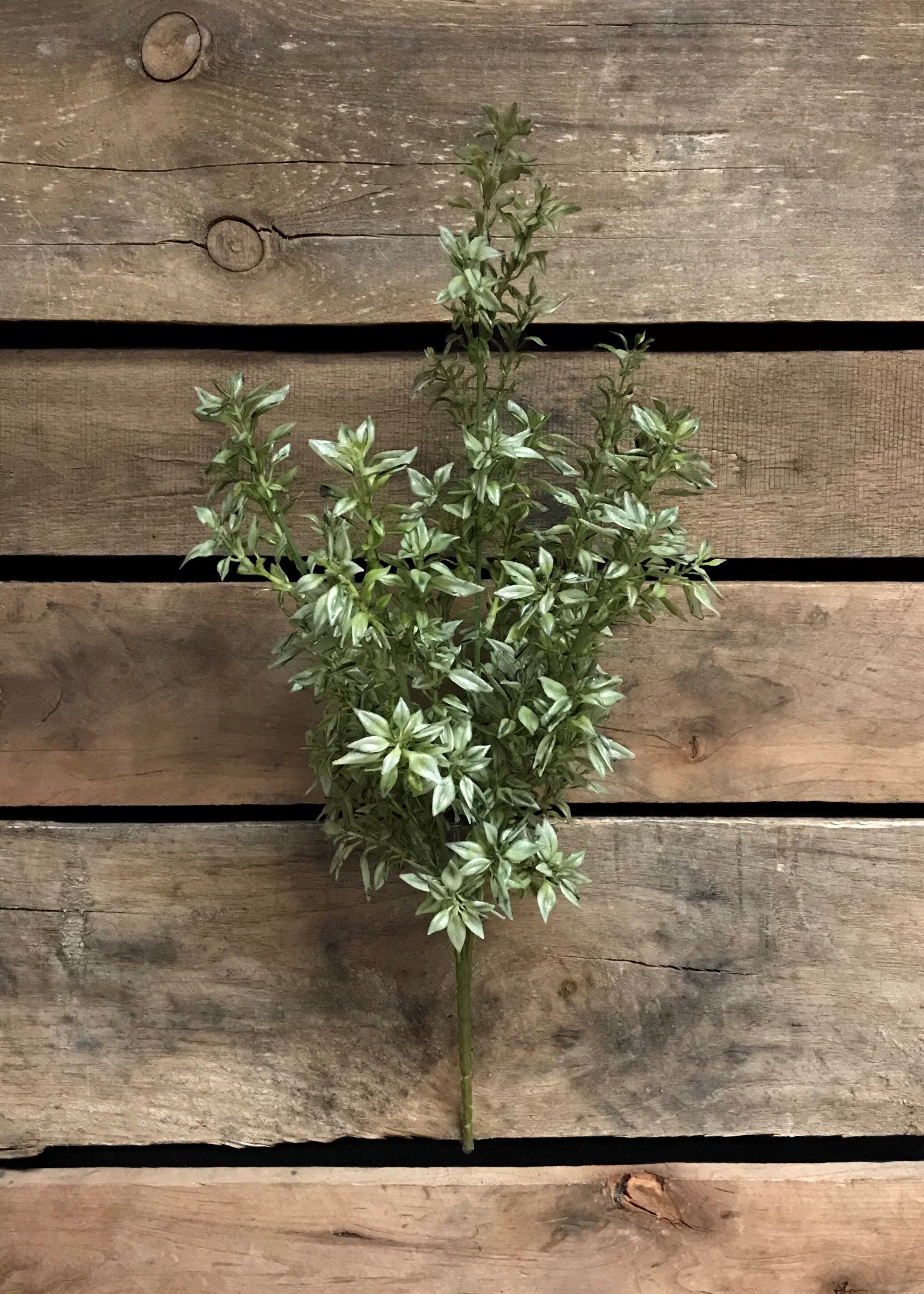 ITEM 11325 - 19" TEA LEAF BUSH