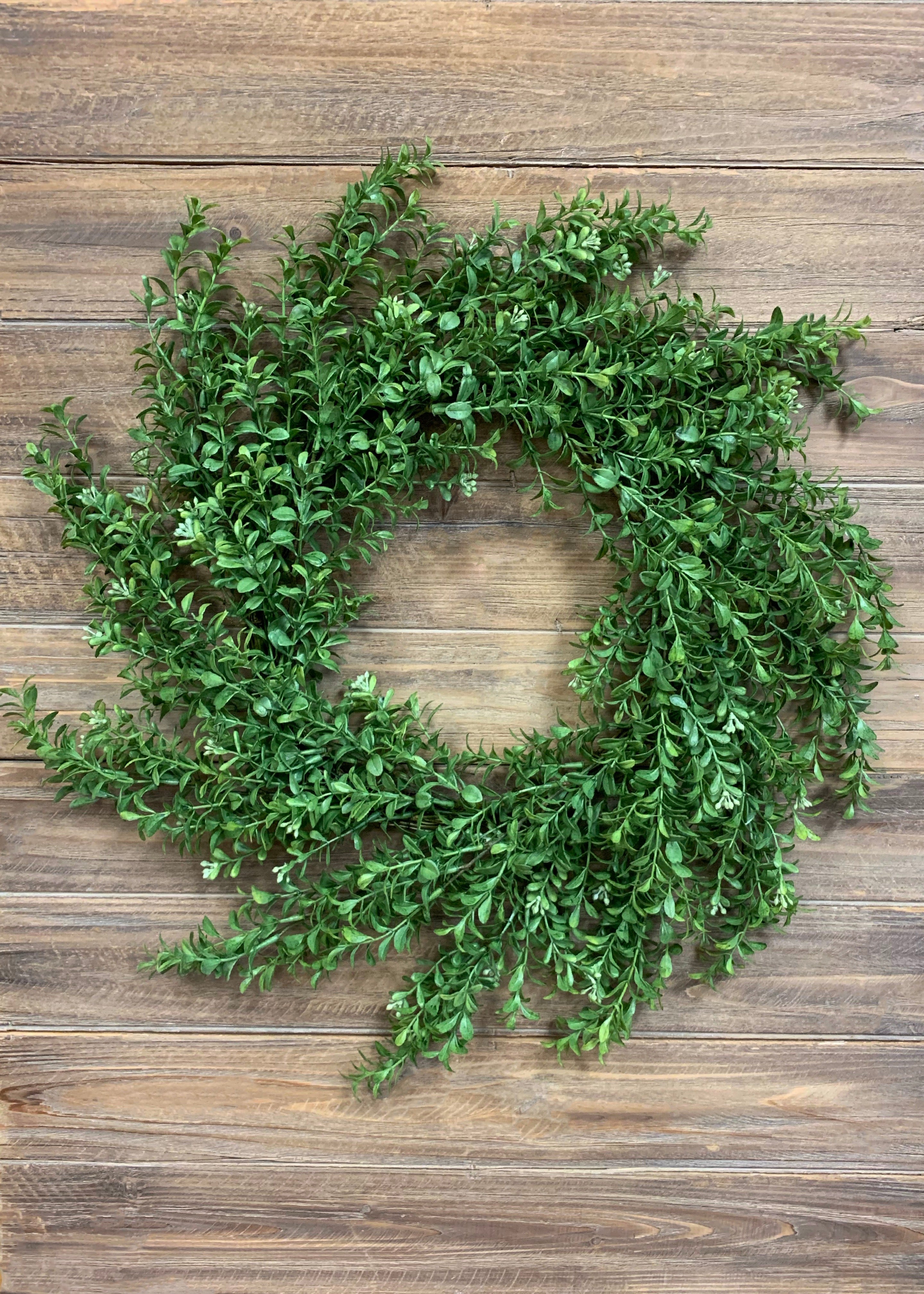 ITEM 11329 - 24" COMMON BOXWOOD WREATH