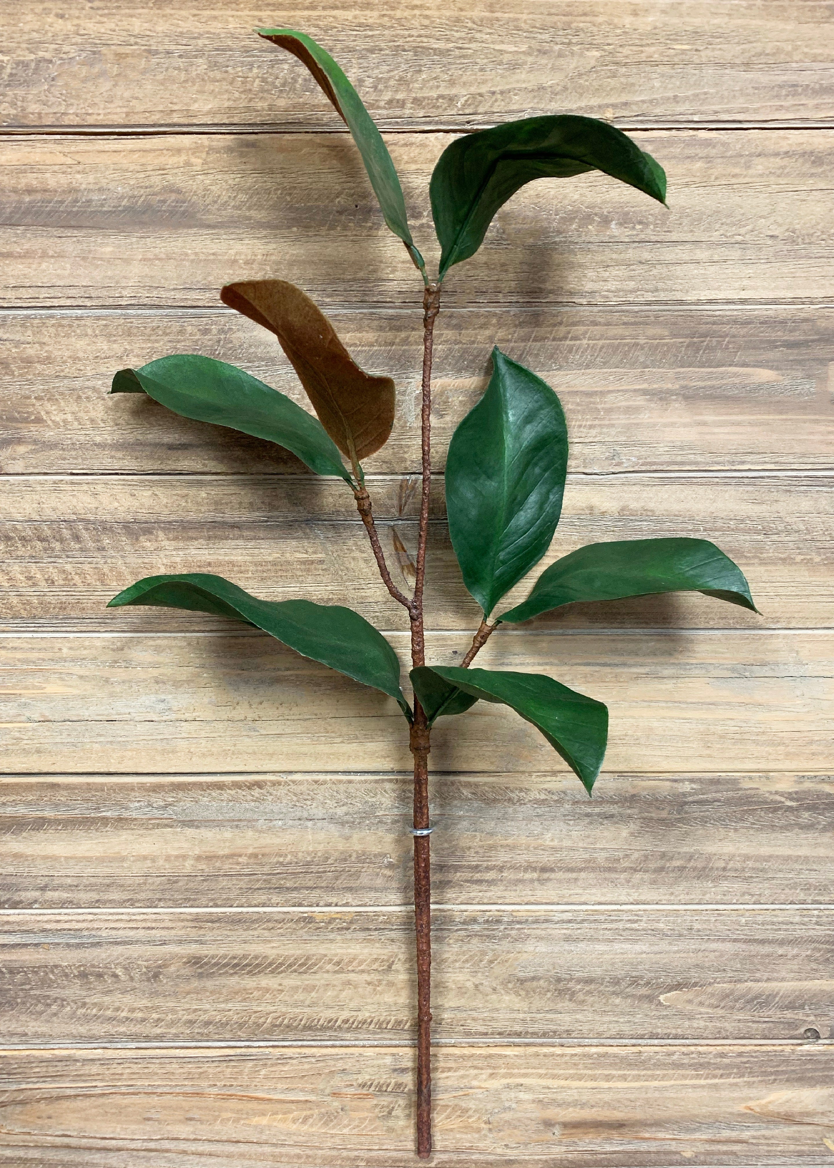 ITEM 11331 - 26" MAGNOLIA SPRAY