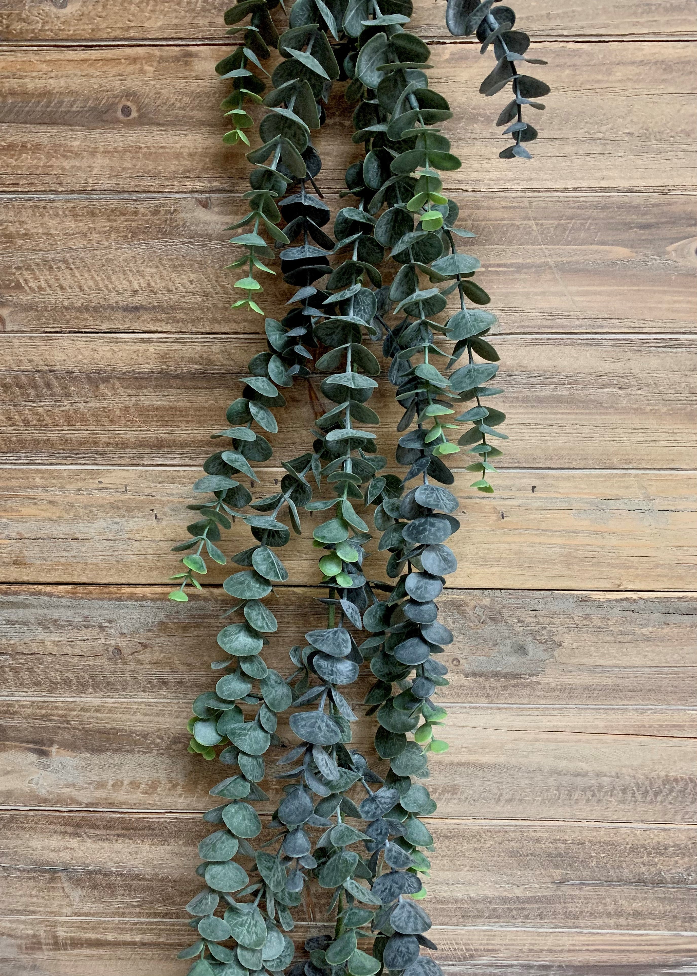 ITEM 11337 - 6' BLUE GREEN EUCALYPTUS GARLAND
