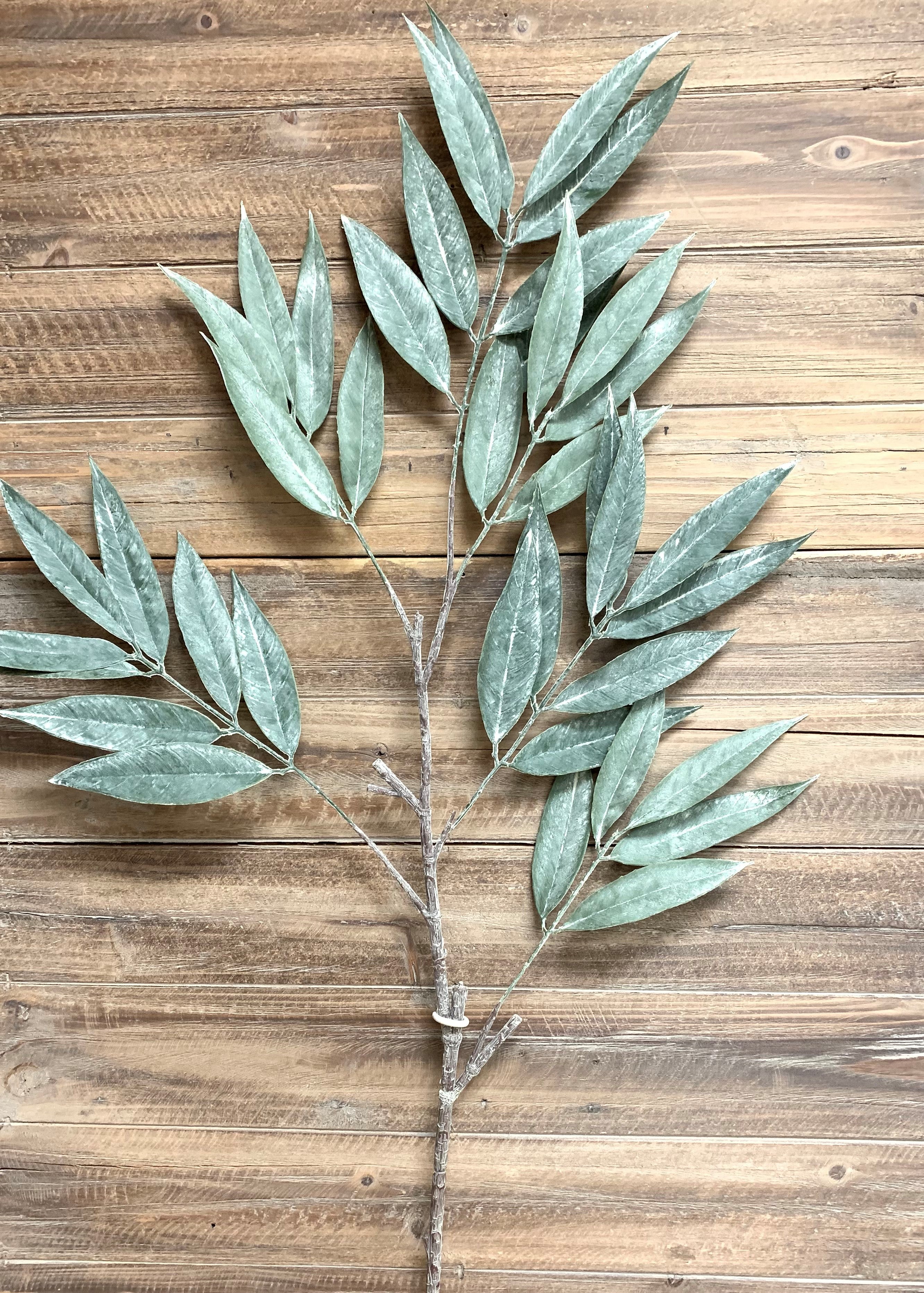 ITEM 11346 - 42" MUDDY WHITE WILLOW SPRAY