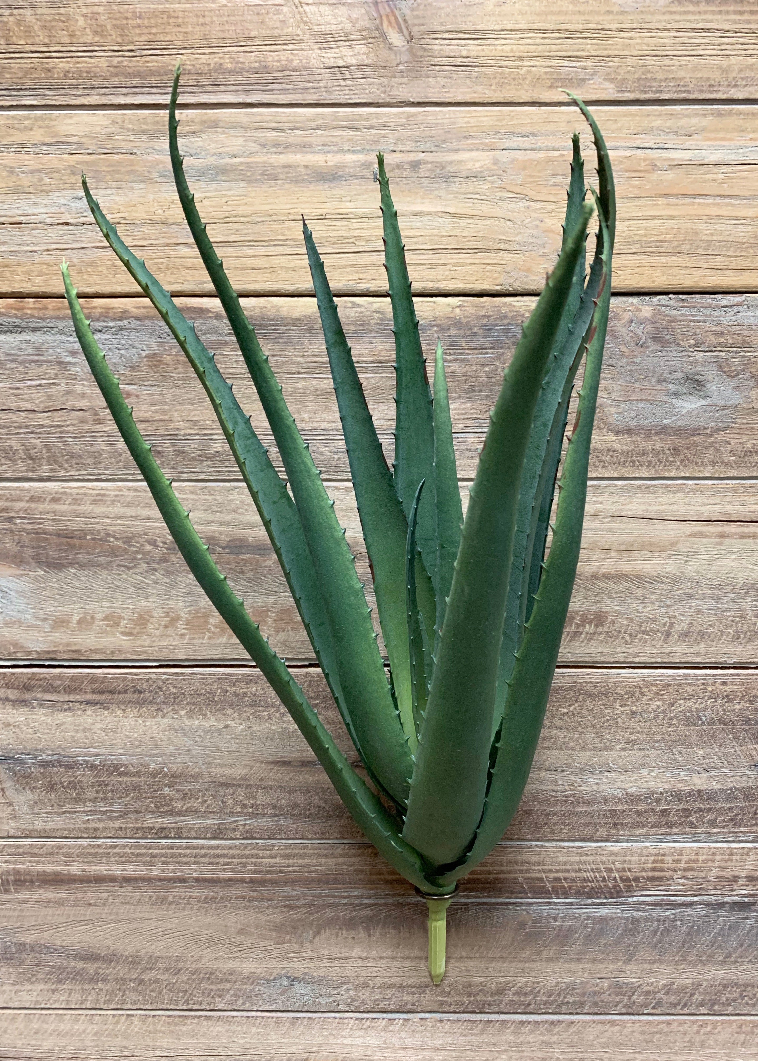 ITEM 11378 - 18" ALOE BUSH X 10 LVS