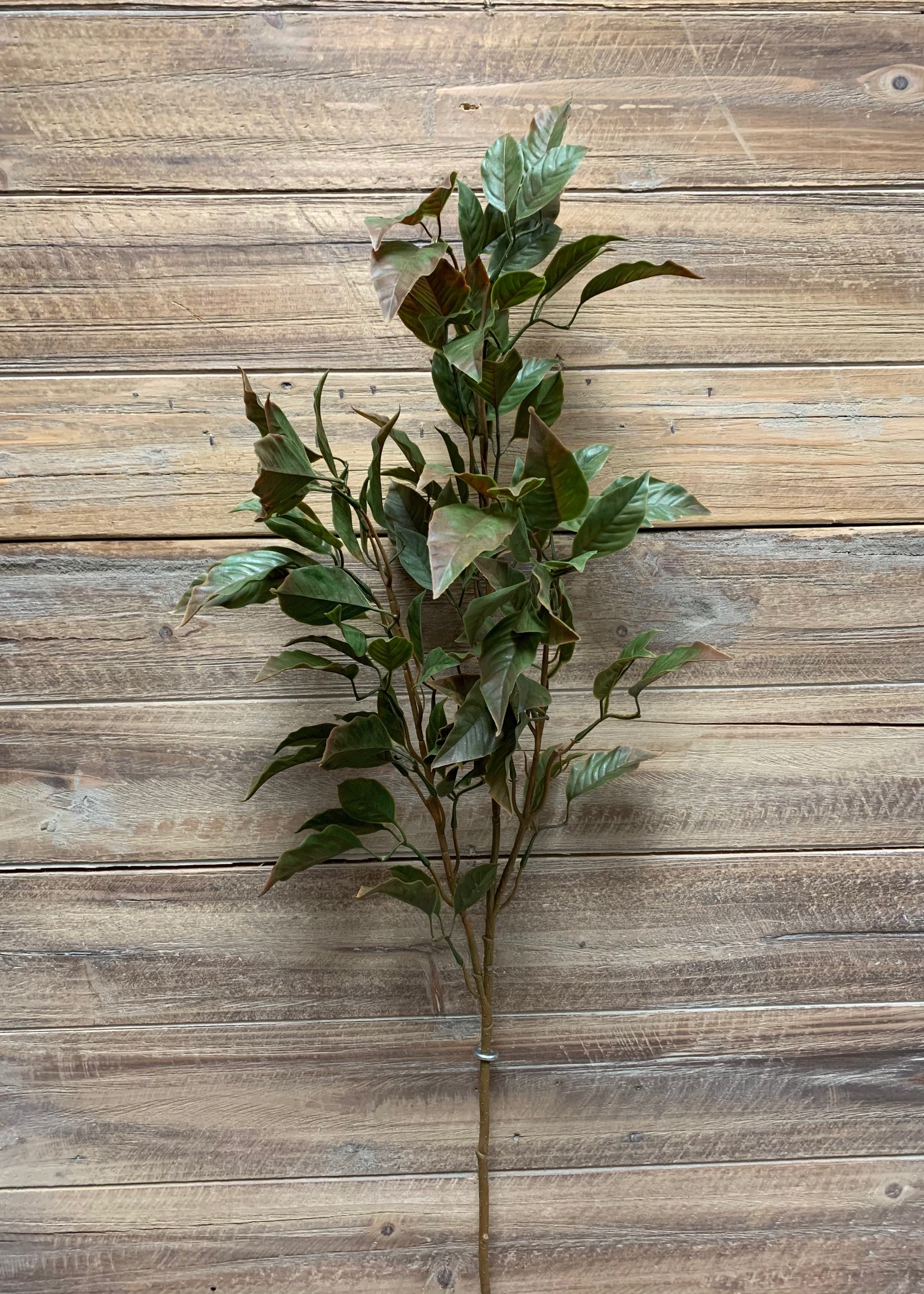 ITEM 11386 GR - 35" GREEN FICUS SPRAY