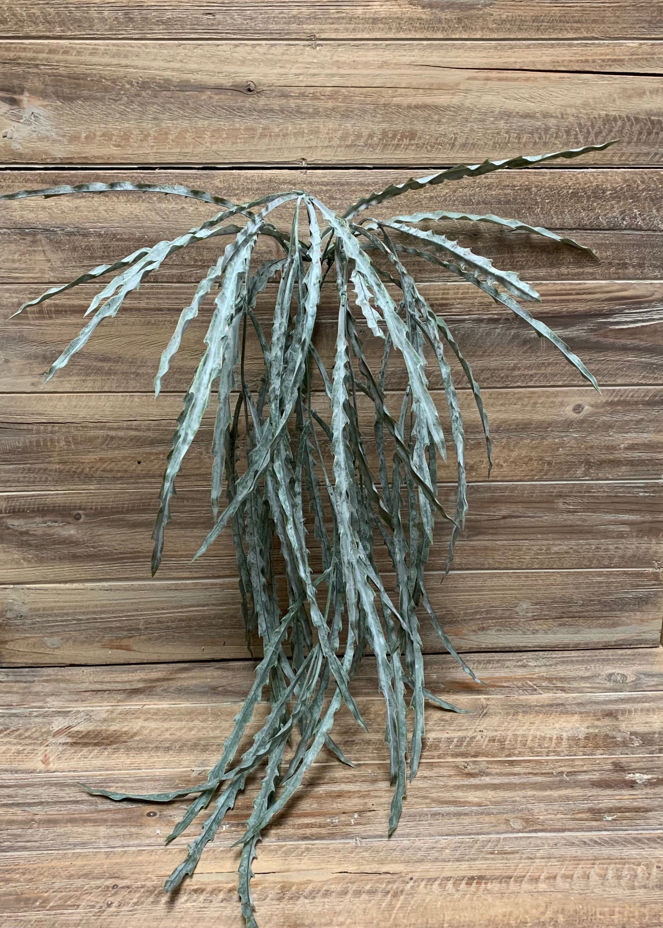 ITEM 11391 - 36" GREEN THISTLE HANGING BUSH