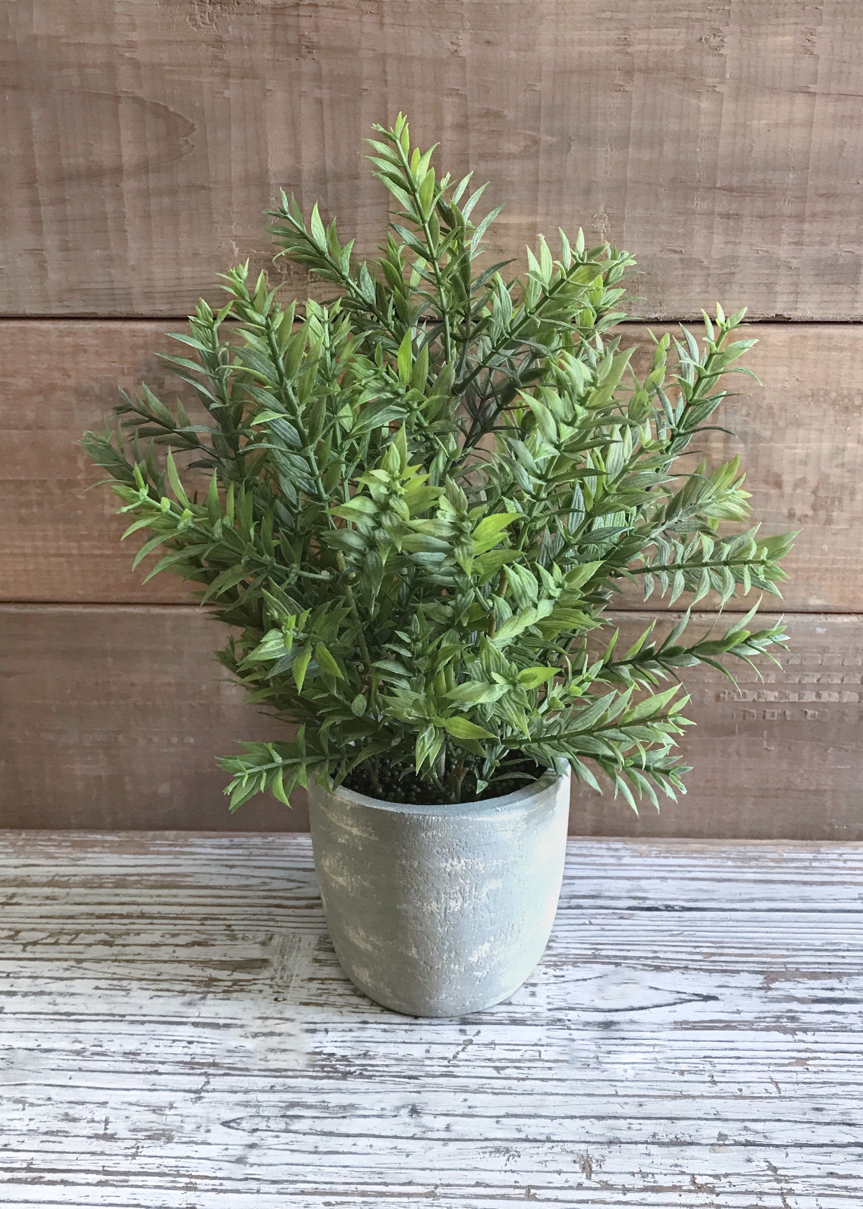 ITEM 11409 - 13" MINI BAMBOO BUSH IN POT