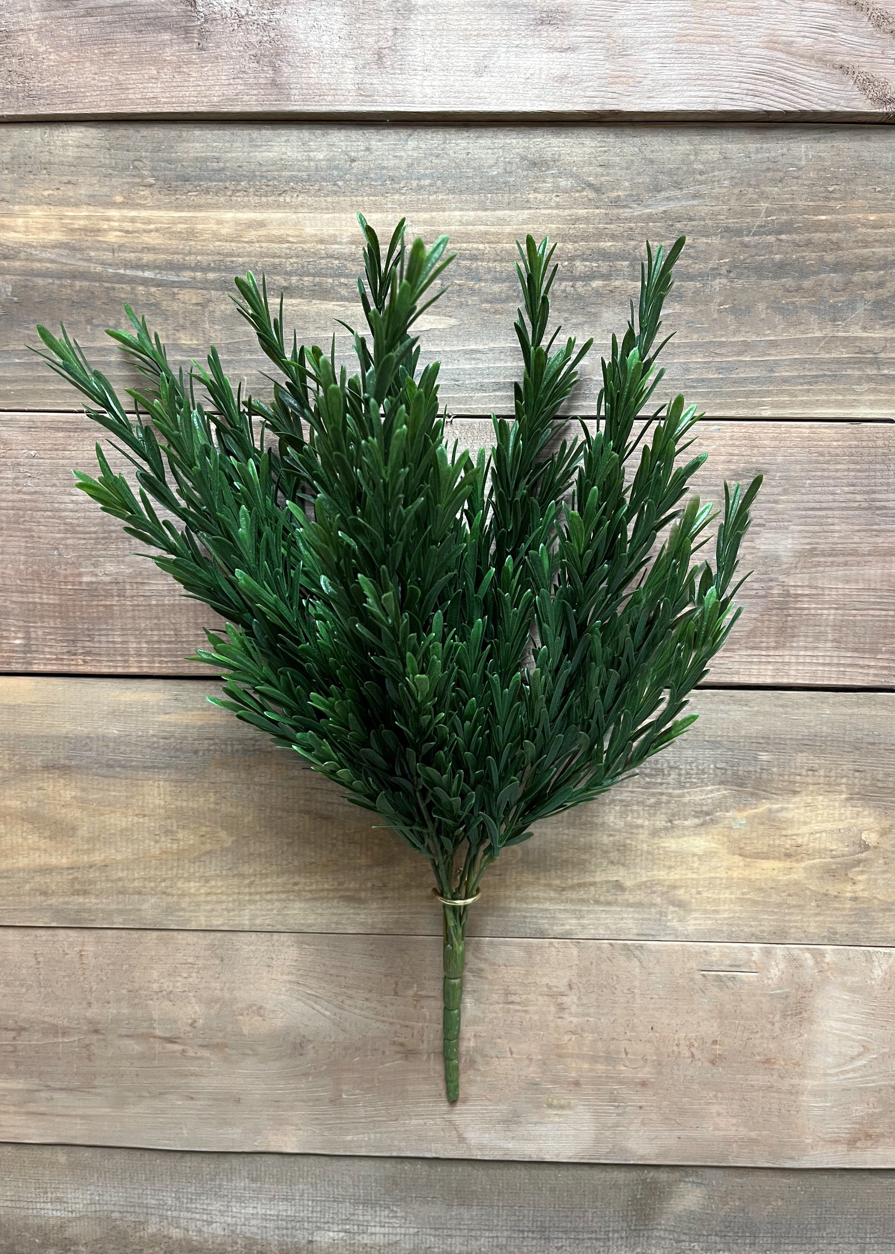 ITEM 11410 - 17" ROSEMARY BUSH WITH 7 STEMS