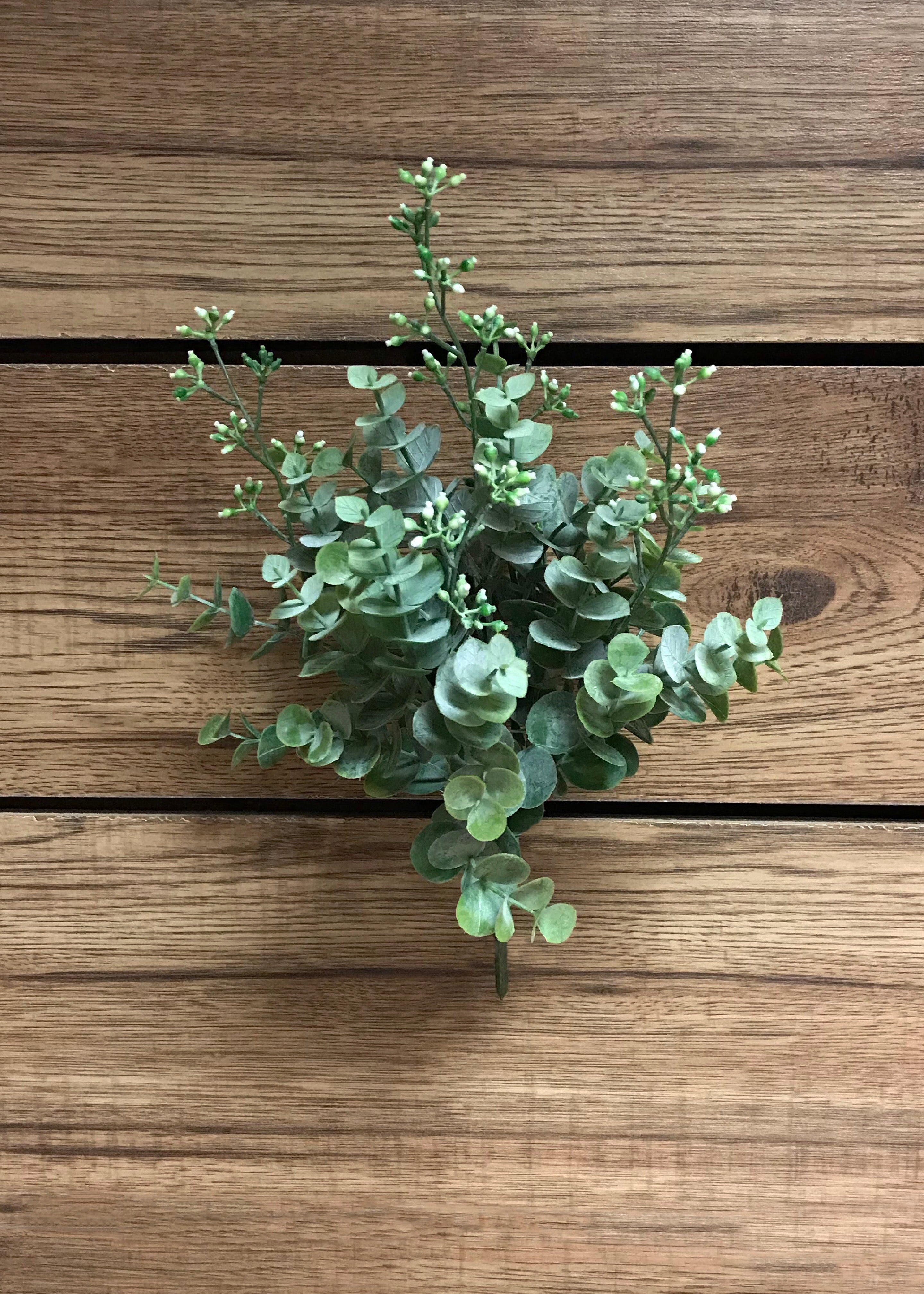 ITEM 12228 - 11" EUCALYPTUS BUSH