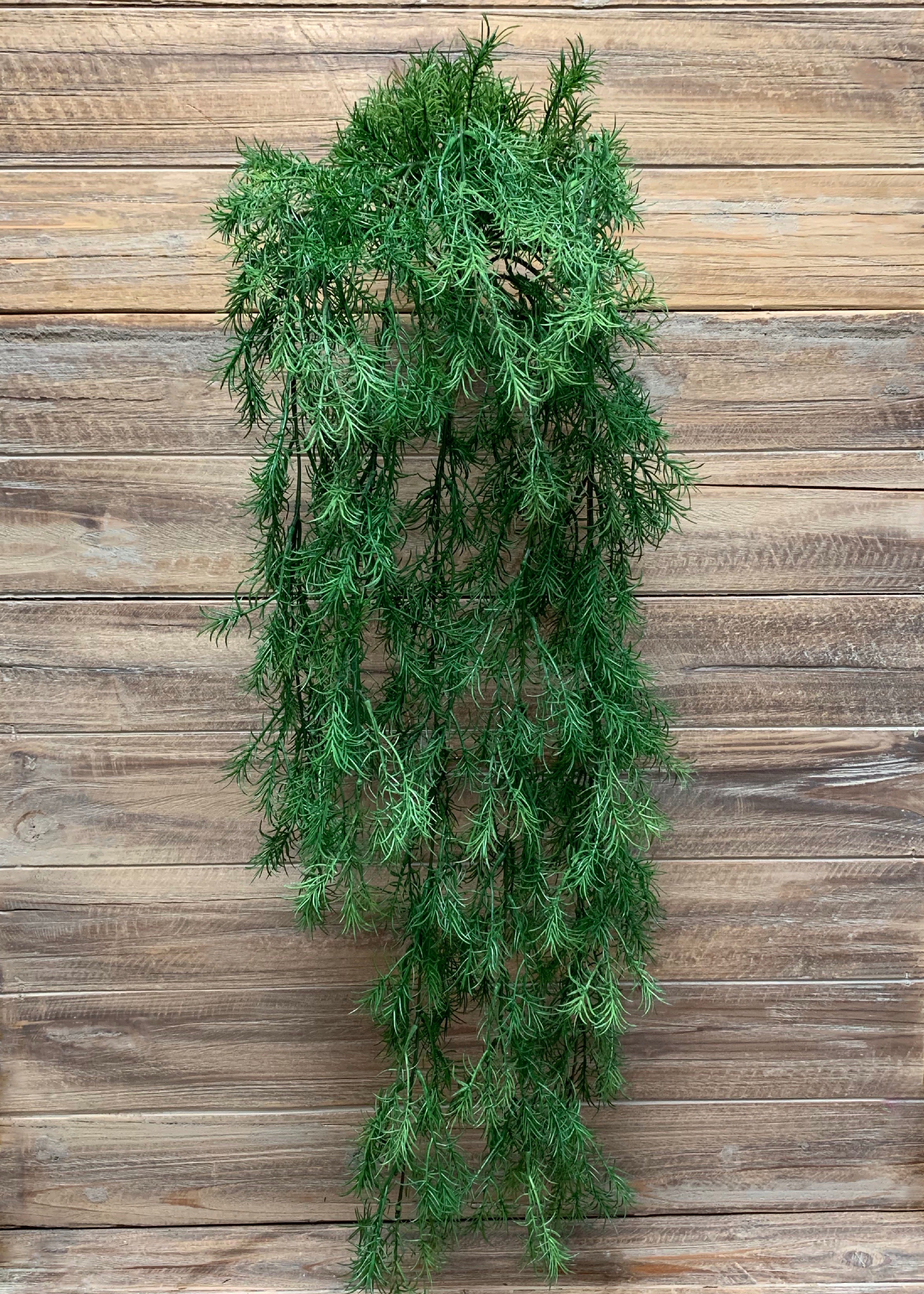 ITEM 12233 - 30" SPRINGERRI HANGING BUSH