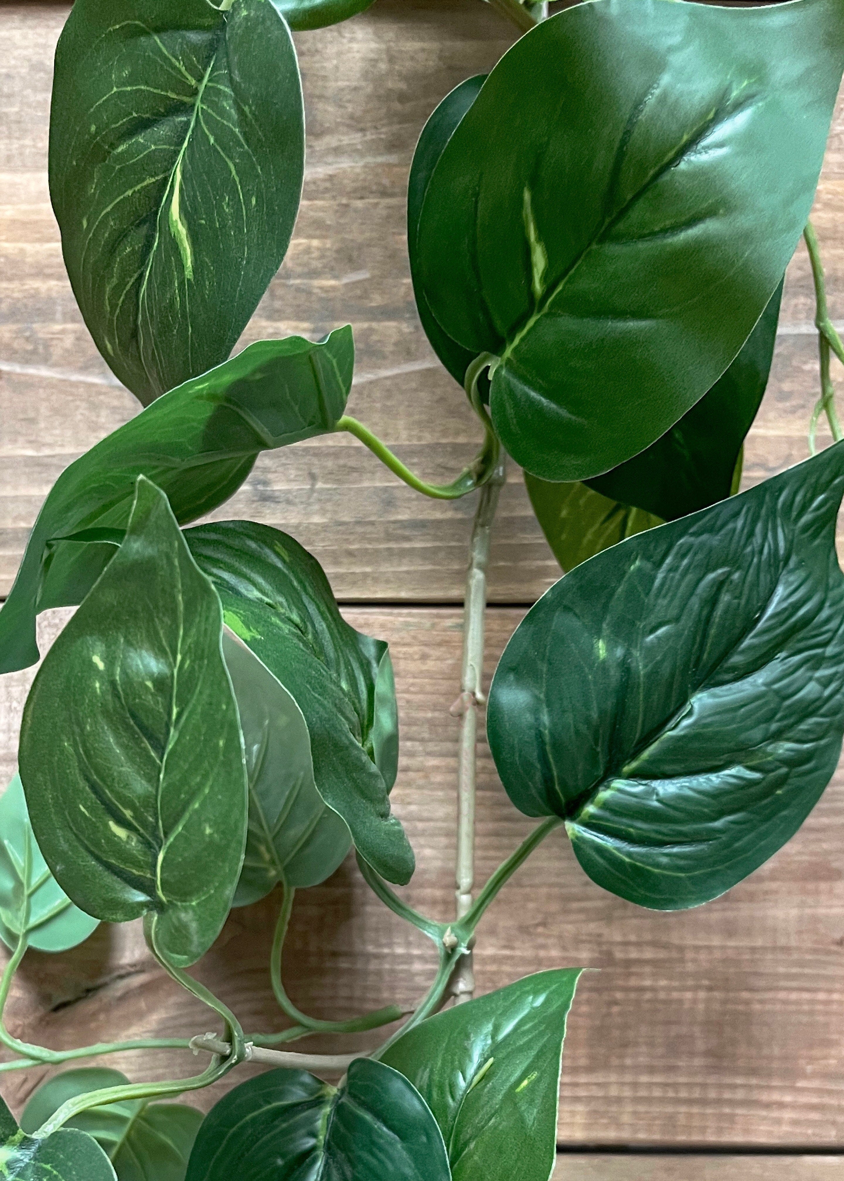ITEM 12263 - 82.5" GREEN POTHOS GARLAND
