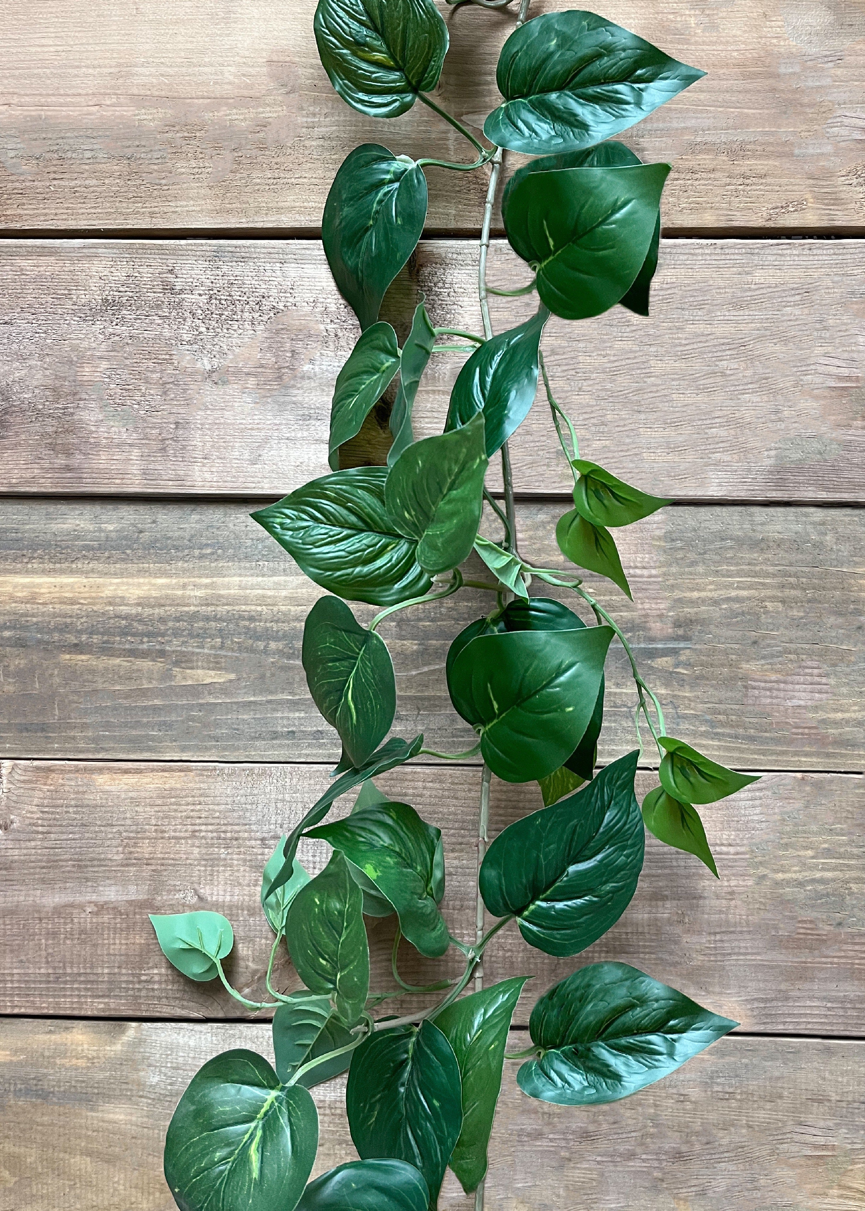 ITEM 12263 - 82.5" GREEN POTHOS GARLAND