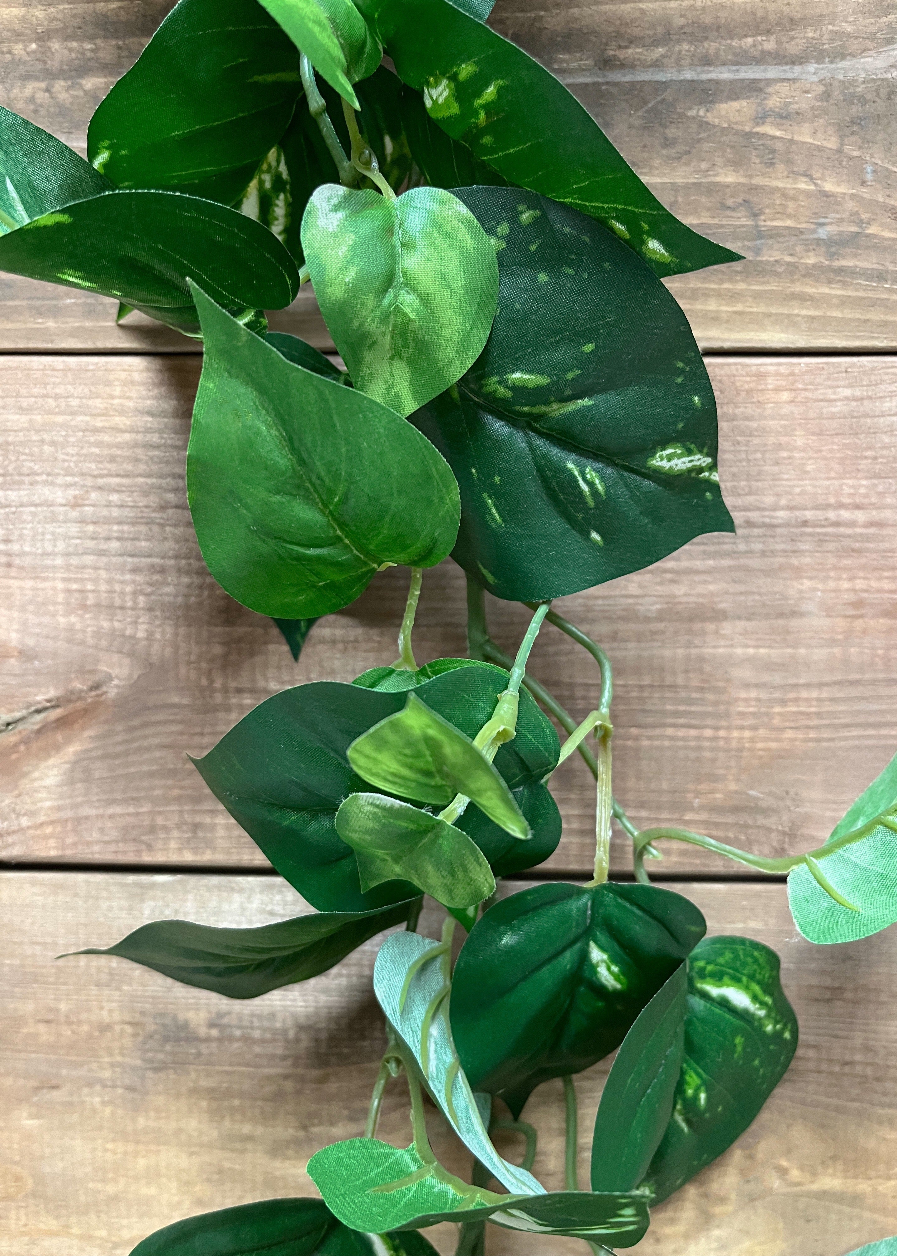 ITEM 12267 - 6' POTHOS GARLAND