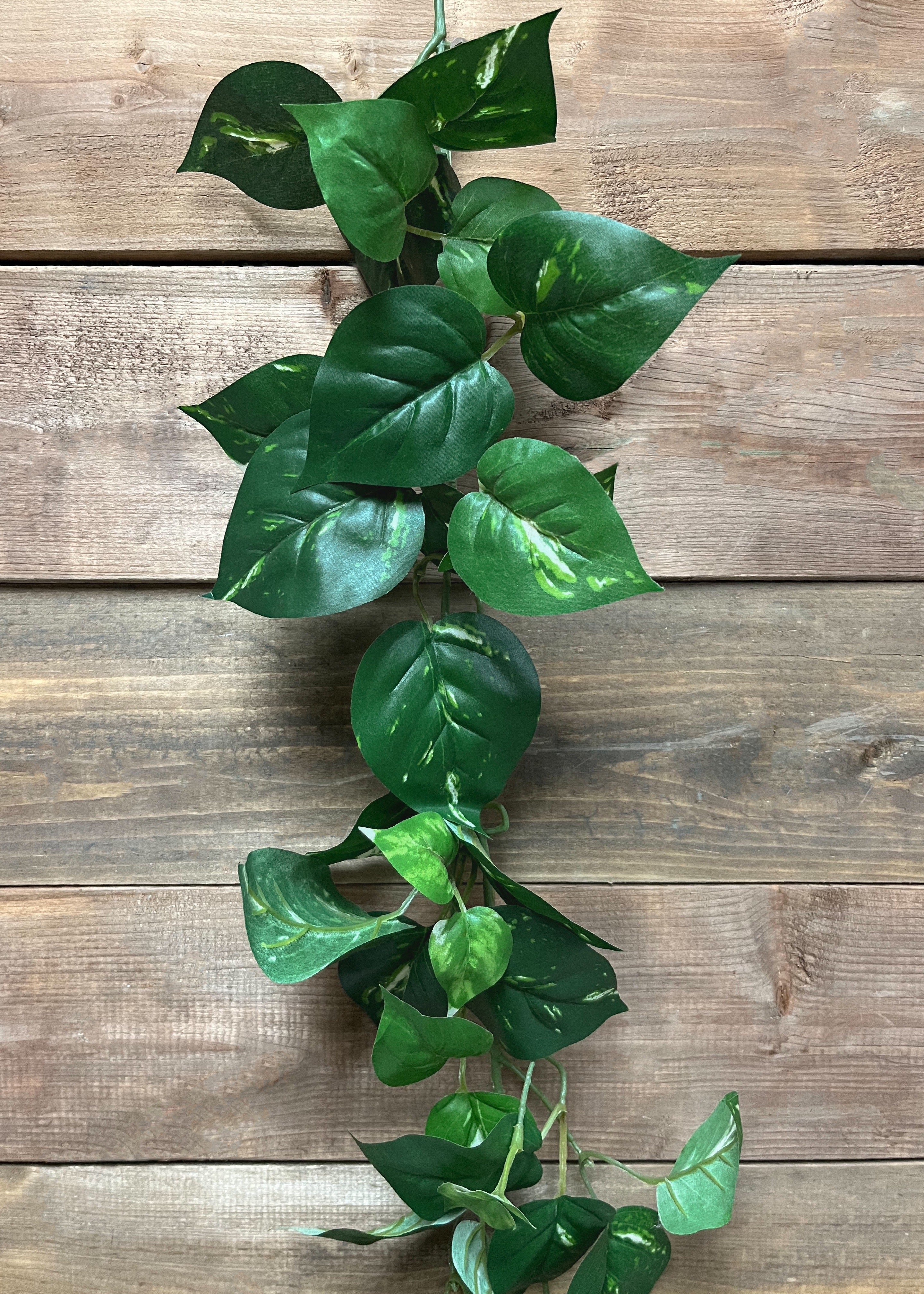 ITEM 12267 - 6' POTHOS GARLAND