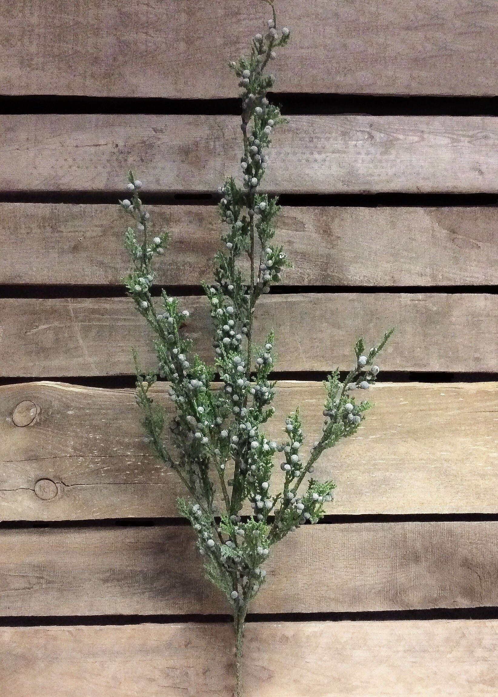 ITEM 81281 - 32" FLOCKED JUNIPER AND BERRIES SPRAY