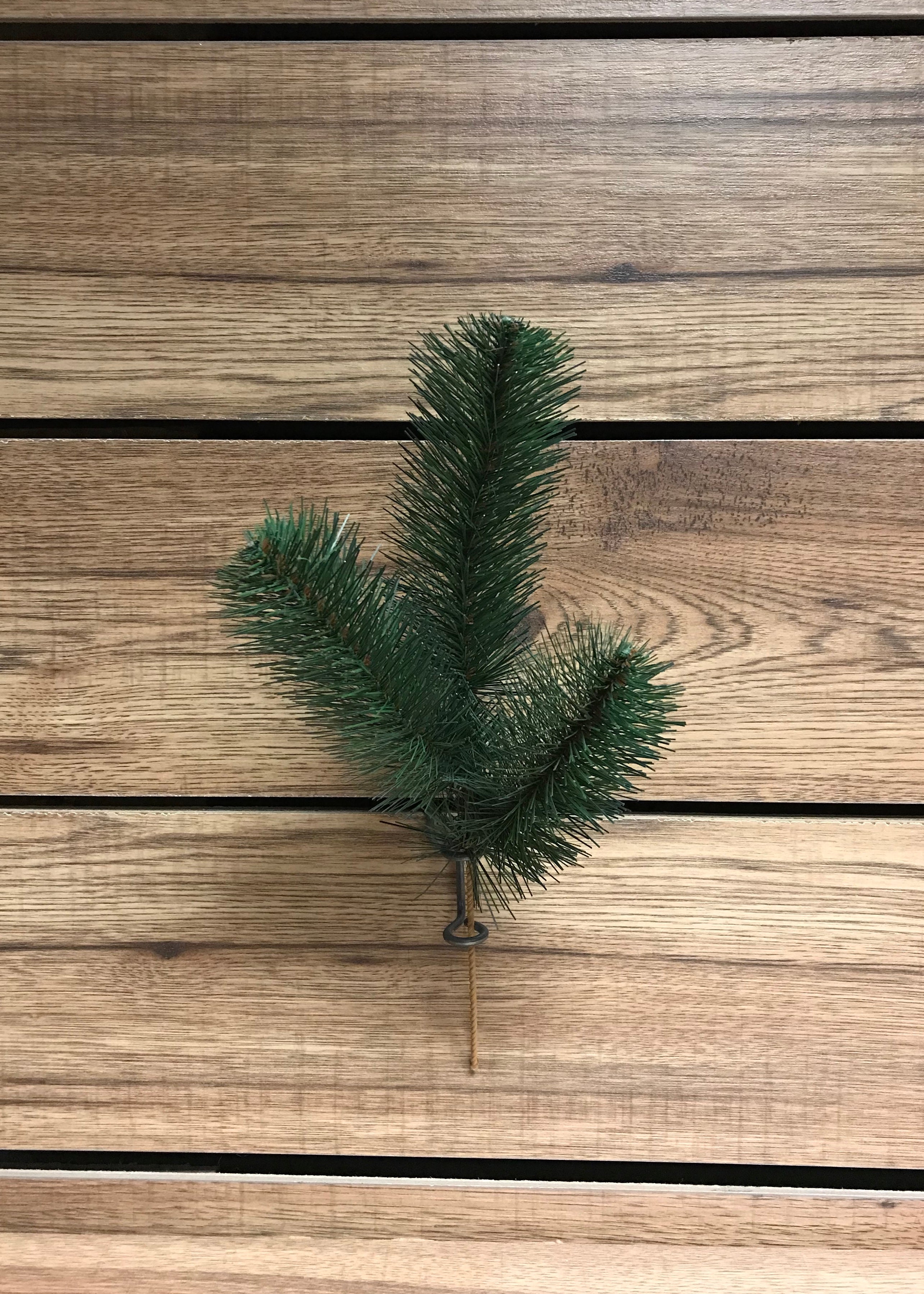 ITEM 81304 - 12.5" AUSTRALIAN PINE SPRAY X 3