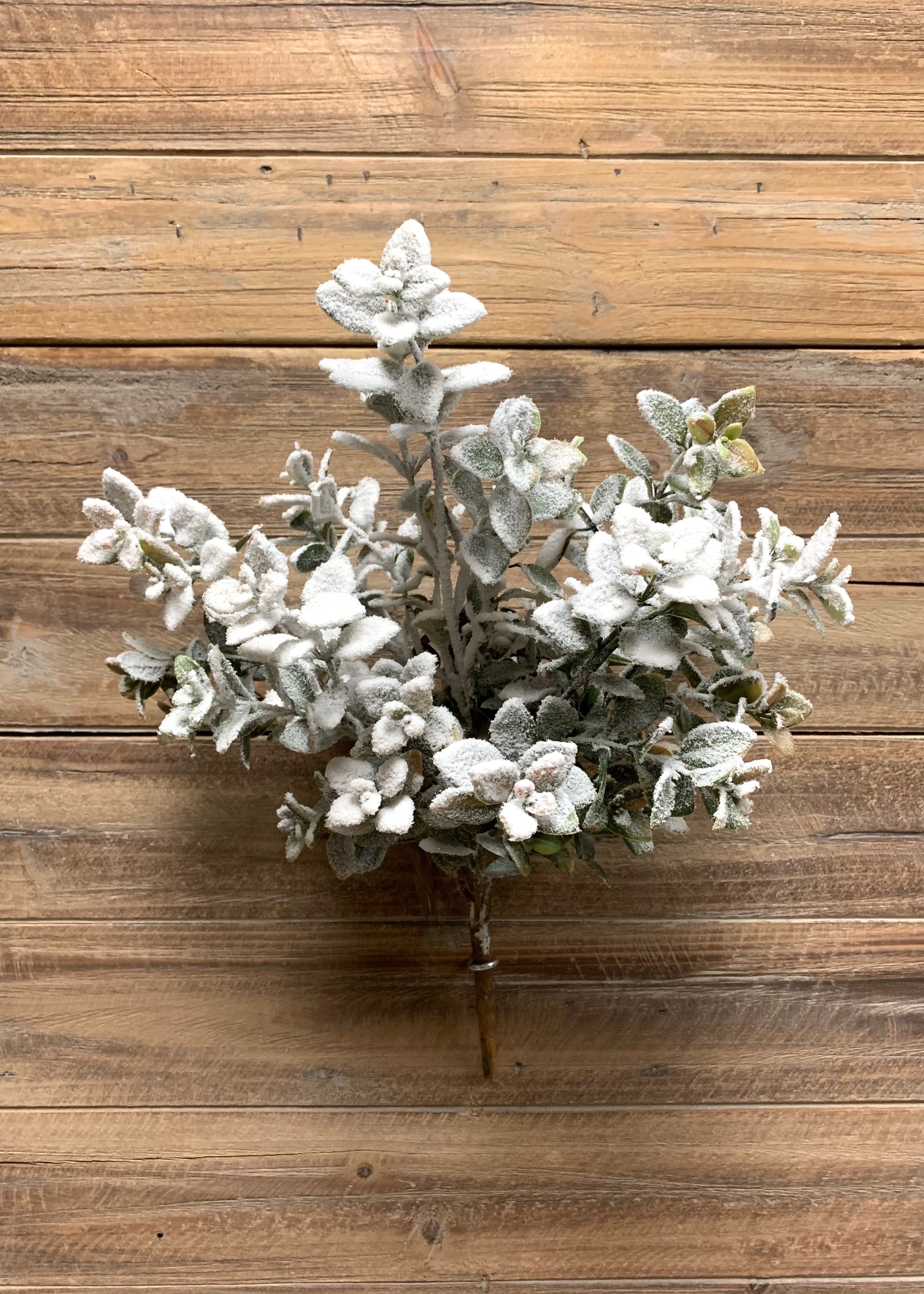 ITEM 81598 GR - 16" SNOWY GREEN AGLAIA BUSH