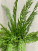 ITEM 81627 - 19" FRESH TOUCH SEQUOIA CYPRESS BUNDLE - WITH 3 PIECES