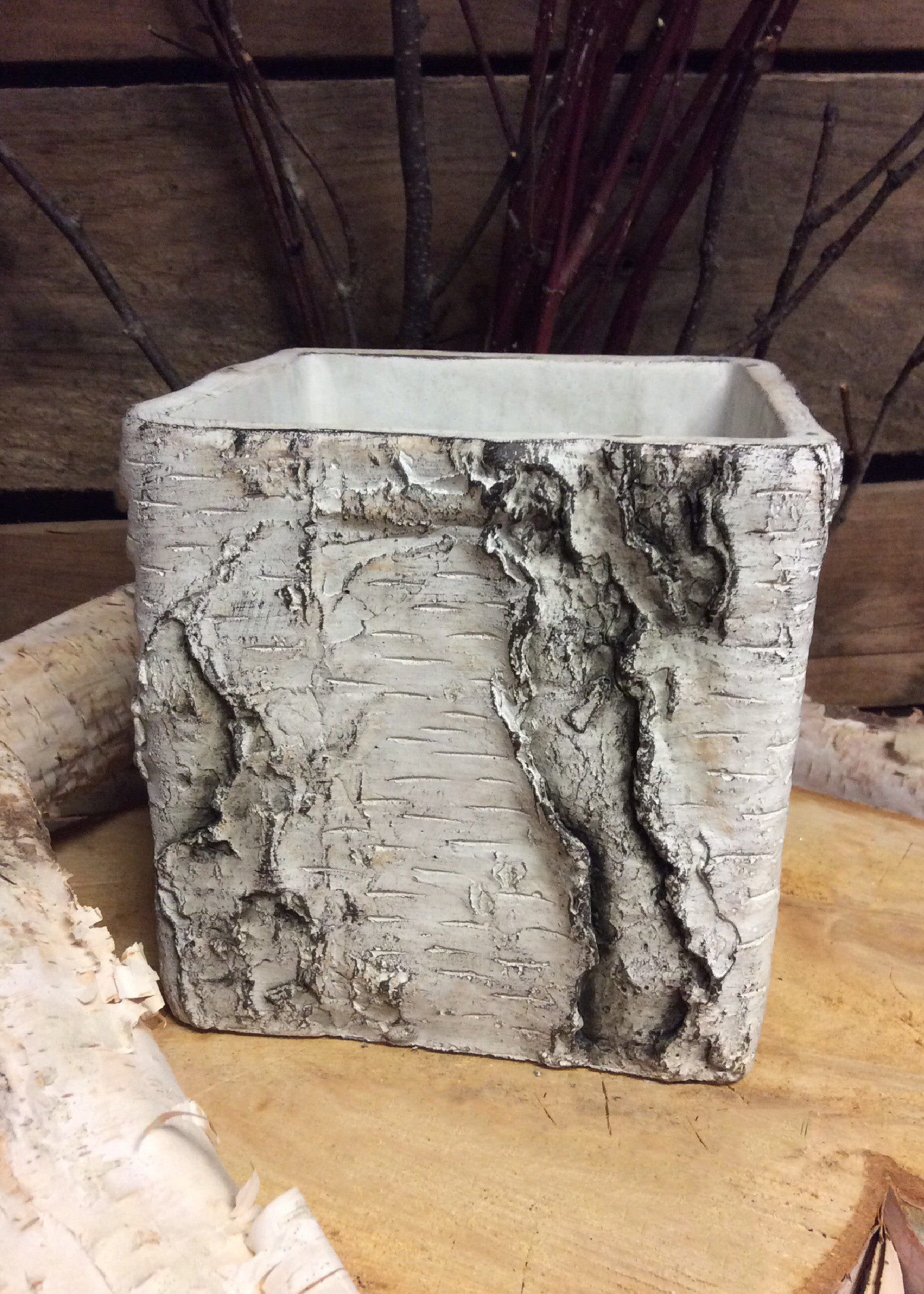 ITEM MX031435 - 6"SQ CEMENT BIRCH PLANTER