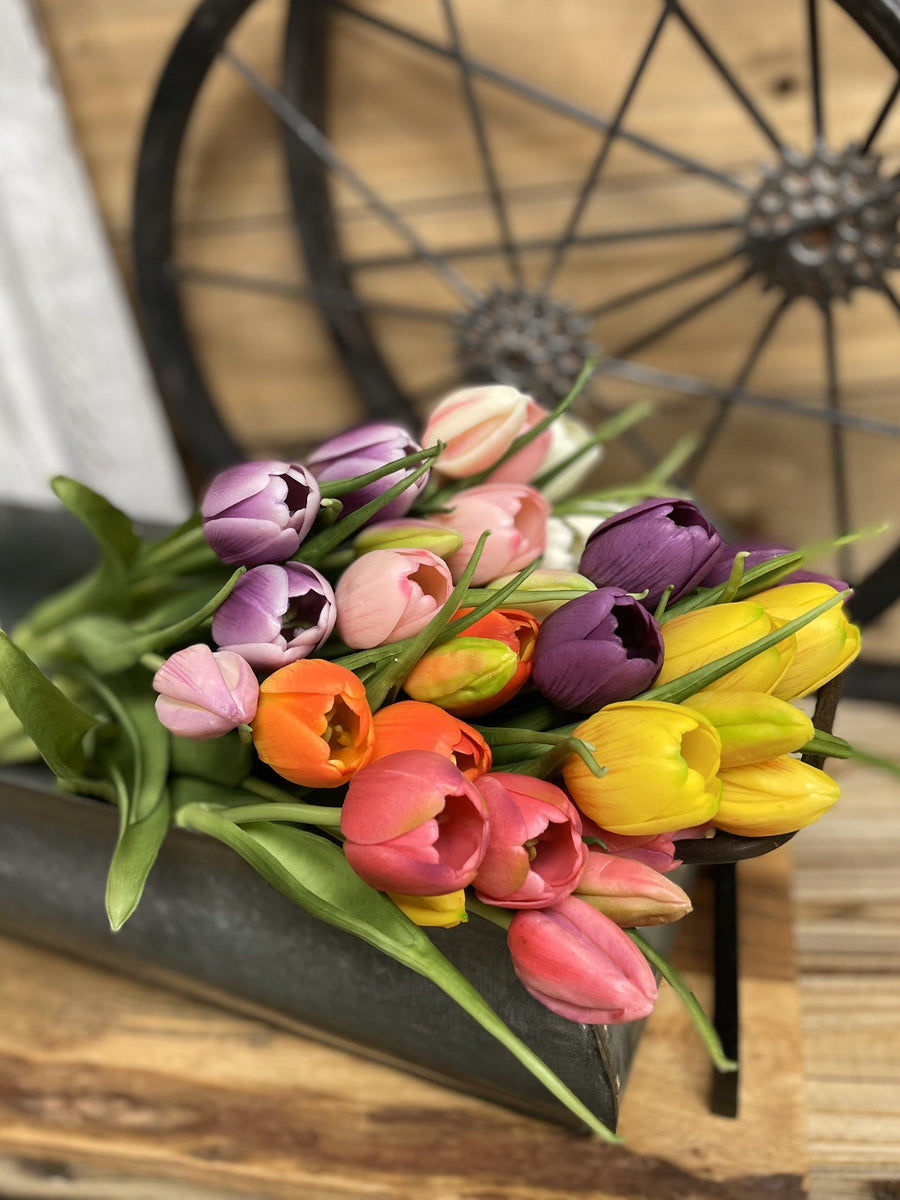 PRE-ORDER TULIPS JANUARY 2026