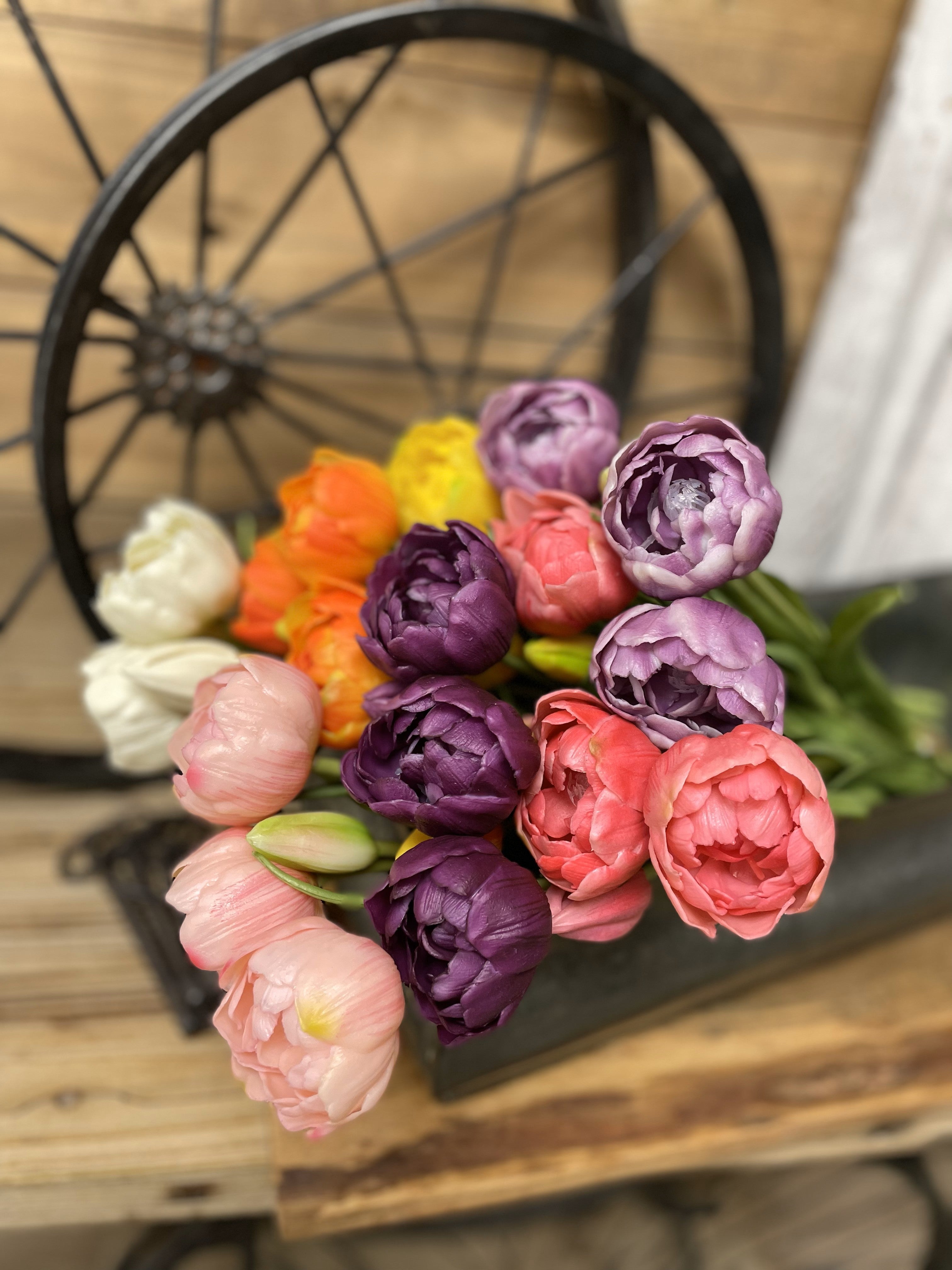 IN STOCK TULIPS