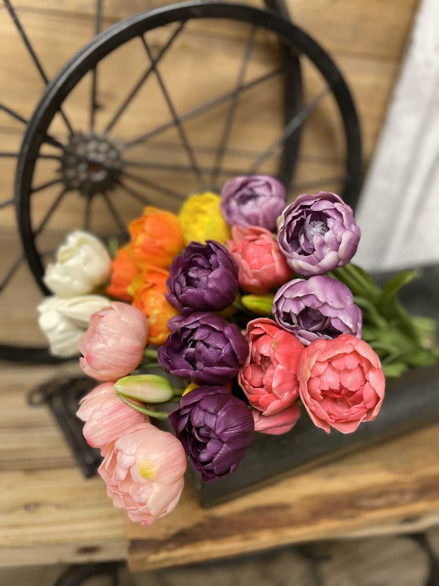 IN STOCK TULIPS