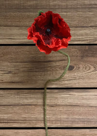 ITEM 00961 R - 31" RED POPPY STEM