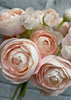 ITEM 00972 BLUSH - 11" BLUSH RANUNCULUS - 6 STEMS PER BUNDLE