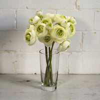 ITEM 00972 GR - 11" GREEN RANUNCULUS - 6 STEMS PER BUNDLE