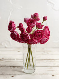 ITEM 00972 HTPK - 11" HOT PINK RANUNCULUS - 6 STEMS PER BUNDLE