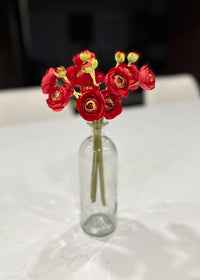 ITEM 00972 RED - 11" RED RANUNCULUS - 6 STEMS PER BUNDLE