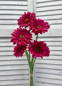 ITEM 00984 ROSE - 25" ROSE FRESH TOUCH SINGLE GERBERA STEM BUNDLE - 6 PER BUNDLE