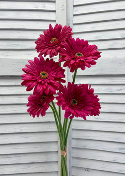 ITEM 00984 ROSE - 25" ROSE FRESH TOUCH SINGLE GERBERA STEM BUNDLE - 6 PER BUNDLE