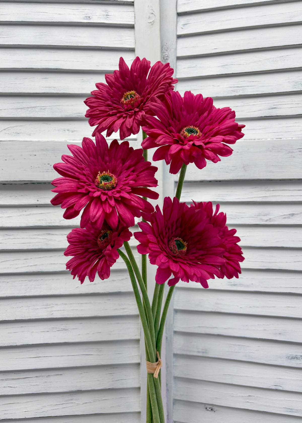 ITEM 00984 ROSE - 25" ROSE FRESH TOUCH SINGLE GERBERA STEM BUNDLE - 6 PER BUNDLE