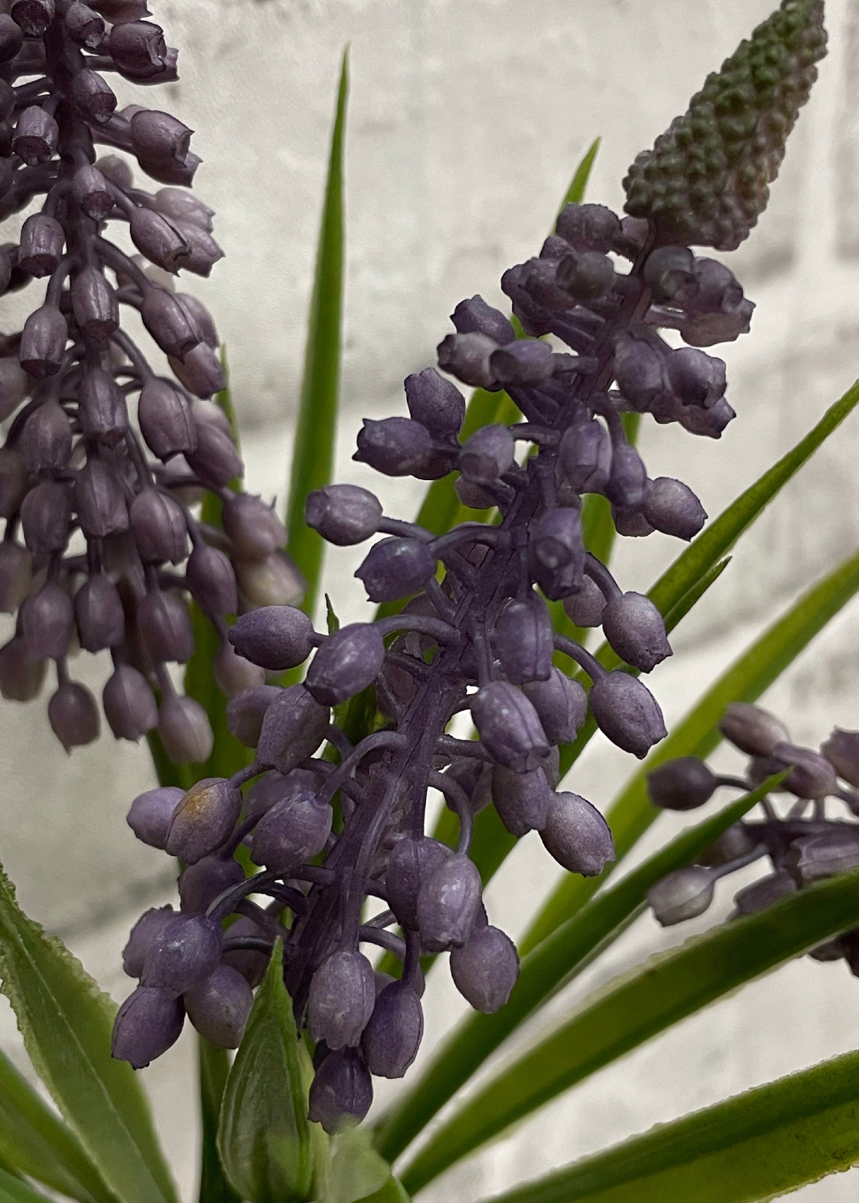 ITEM 00992 LV  - 10.5" LAVENDER MUSCARI BUNDLE X 4
