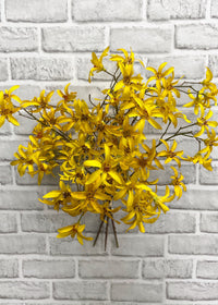 ITEM 00994 Y - 21" YELLOW FORSYTHIA BUNDLE X 3