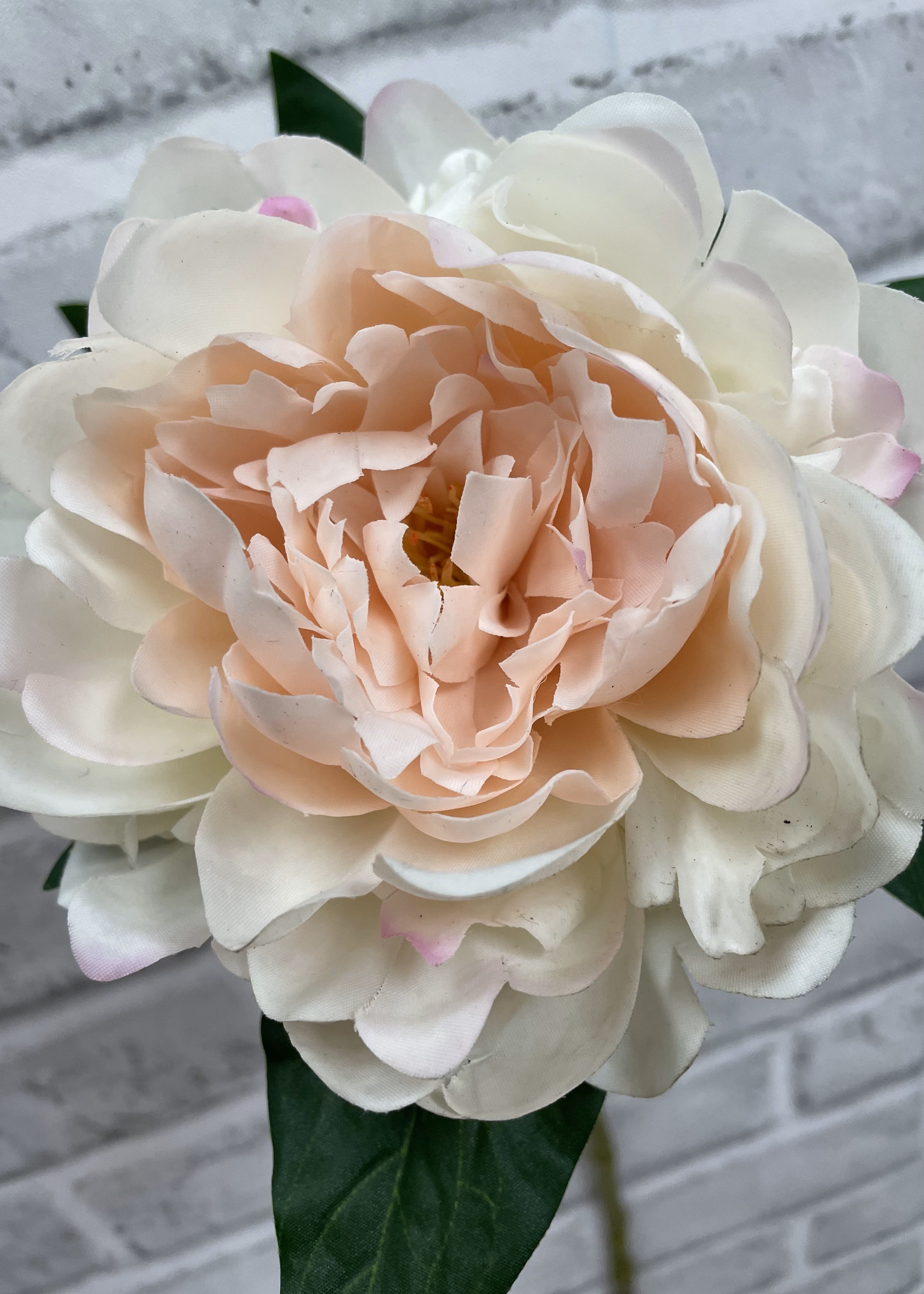 ITEM 01007 BLUSH - 23" BLUSH FRESH TOUCH PEONY STEM