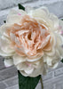 ITEM 01007 BLUSH - 23" BLUSH FRESH TOUCH PEONY STEM