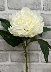 ITEM 01007 CREAM - 23" CREAM FRESH TOUCH PEONY STEM