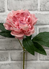 ITEM 01007 PINK - 23" PINK FRESH TOUCH PEONY STEM