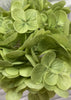 ITEM 01008 GR - 12" GREEN FRESH TOUCH HYDRANGEA STEM