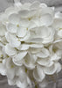 ITEM 01008 W - 12" WHITE FRESH TOUCH HYDRANGEA STEM