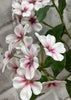 ITEM 01012 PK - 33.5" PINK PHLOX STEM