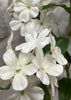 ITEM 01012 W - 33.5" WHITE PHLOX STEM