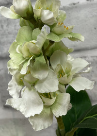 ITEM 01013 W - 38" WHITE ASTIBLE STEM