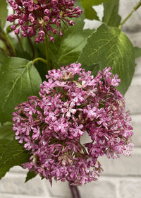ITEM 01014 MV - 25" MAUVE SNOWBALL BUNDLE