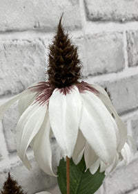 ITEM 01017 W - 36" WHITE CONE FLOWER STEM